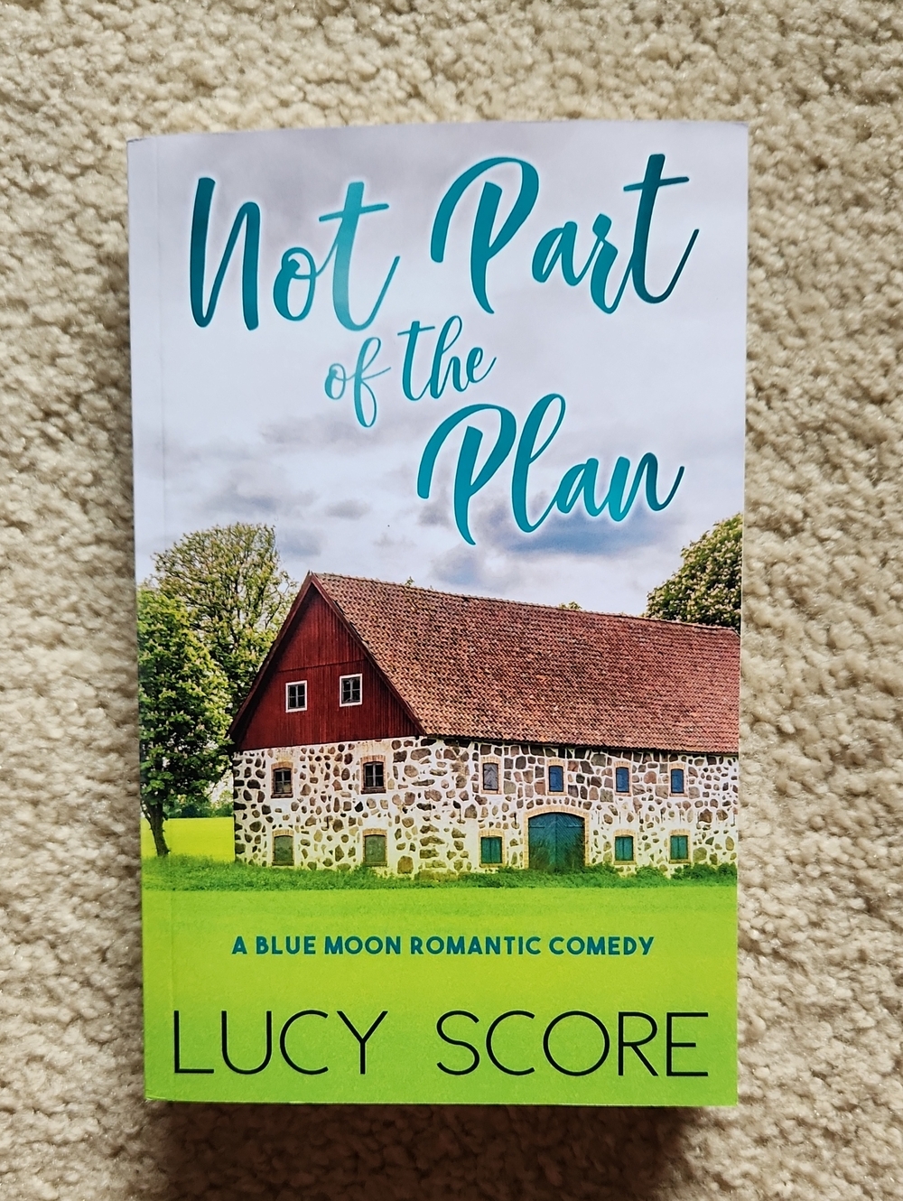 Not Part of the Plan by Lucy Score - Green/Teal Cover